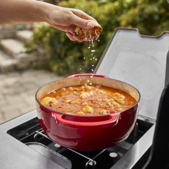 Weber Summit S Gasgrill - Image 3